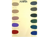 Z NAPPA 1