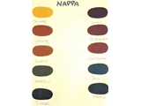 Z NAPPA 2