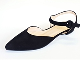 EVAISTER (1)