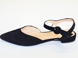 EVAISTER (2)